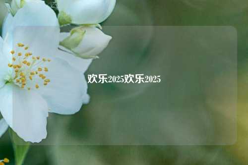 欢乐2025欢乐2025