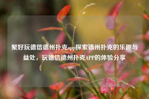 聚好玩德信德州扑克app探索德州扑克的乐趣与益处，玩德信德州扑克APP的体验分享