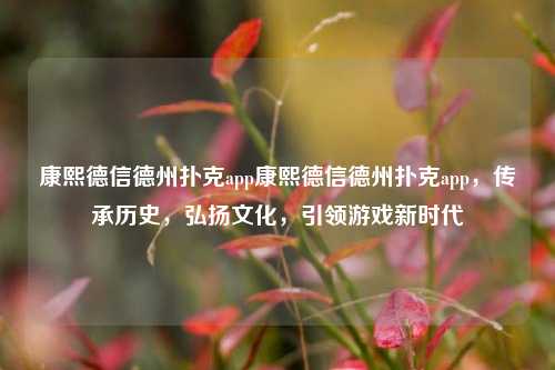 康熙德信德州扑克app康熙德信德州扑克app，传承历史，弘扬文化，引领游戏新时代