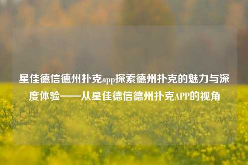 星佳德信德州扑克app探索德州扑克的魅力与深度体验——从星佳德信德州扑克APP的视角