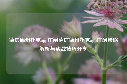 德信德州扑克app庄闲德信德州扑克app庄闲策略解析与实战技巧分享