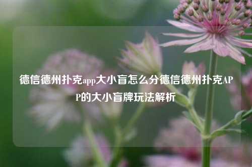 德信德州扑克app大小盲怎么分德信德州扑克APP的大小盲牌玩法解析