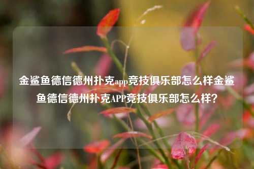 金鲨鱼德信德州扑克app竞技俱乐部怎么样金鲨鱼德信德州扑克APP竞技俱乐部怎么样？