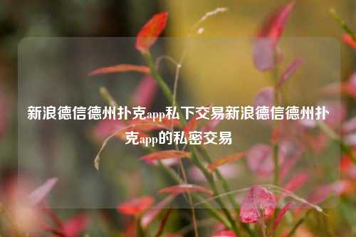 新浪德信德州扑克app私下交易新浪德信德州扑克app的私密交易