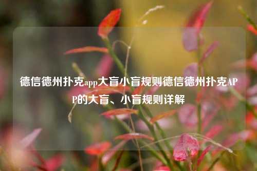 德信德州扑克app大盲小盲规则德信德州扑克APP的大盲、小盲规则详解