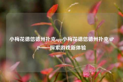小梅花德信德州扑克app小梅花德信德州扑克APP——探索游戏新体验
