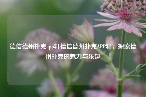 德信德州扑克app轩德信德州扑克APP轩，探索德州扑克的魅力与乐趣