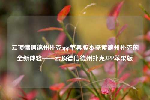 云顶德信德州扑克app苹果版本探索德州扑克的全新体验——云顶德信德州扑克APP苹果版