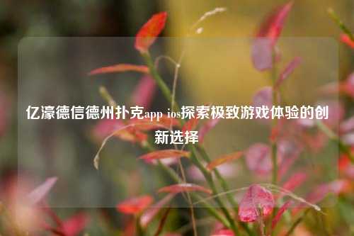亿濠德信德州扑克app ios探索极致游戏体验的创新选择