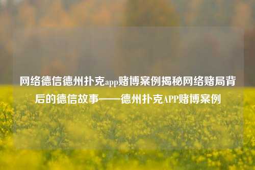 网络德信德州扑克app赌博案例揭秘网络赌局背后的德信故事——德州扑克APP赌博案例