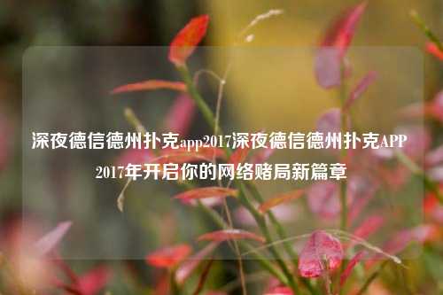 深夜德信德州扑克app2017深夜德信德州扑克APP 2017年开启你的网络赌局新篇章