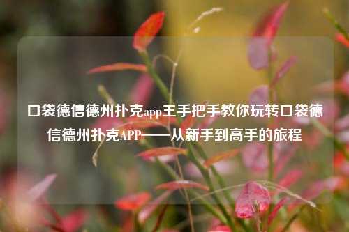 口袋德信德州扑克app王手把手教你玩转口袋德信德州扑克APP——从新手到高手的旅程