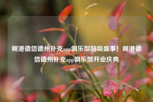 岘港德信德州扑克app俱乐部超级盛事！岘港德信德州扑克app俱乐部开业庆典