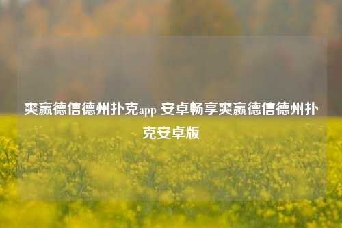 爽赢德信德州扑克app 安卓畅享爽赢德信德州扑克安卓版