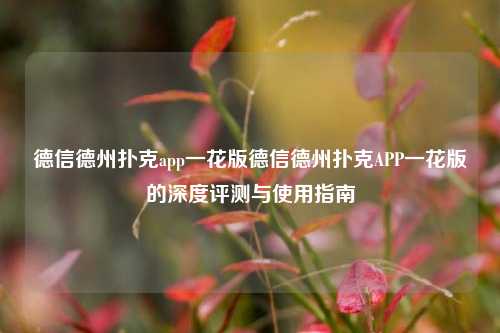 德信德州扑克app一花版德信德州扑克APP一花版的深度评测与使用指南