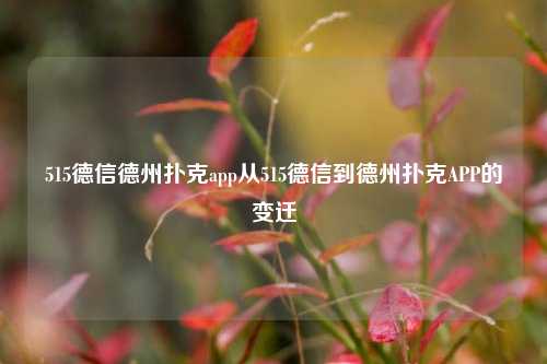 515德信德州扑克app从515德信到德州扑克APP的变迁