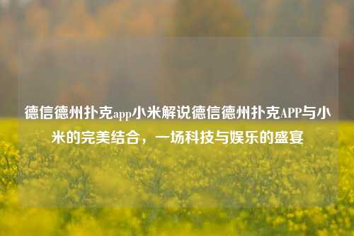 德信德州扑克app小米解说德信德州扑克APP与小米的完美结合，一场科技与娱乐的盛宴