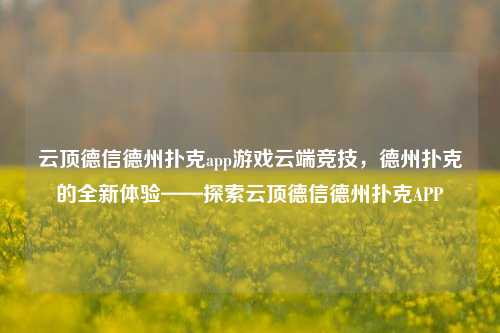 云顶德信德州扑克app游戏云端竞技，德州扑克的全新体验——探索云顶德信德州扑克APP