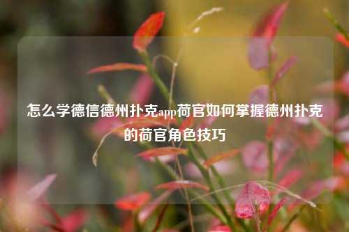 怎么学德信德州扑克app荷官如何掌握德州扑克的荷官角色技巧
