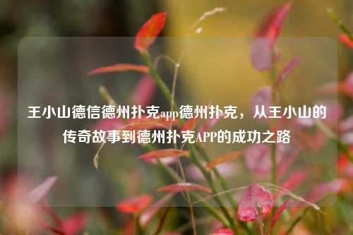 王小山德信德州扑克app德州扑克，从王小山的传奇故事到德州扑克APP的成功之路