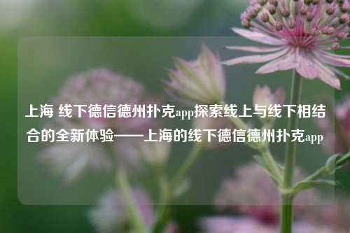 上海 线下德信德州扑克app探索线上与线下相结合的全新体验——上海的线下德信德州扑克app
