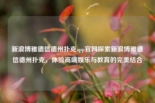 新浪博雅德信德州扑克app官网探索新浪博雅德信德州扑克，体验高端娱乐与教育的完美结合