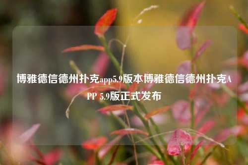 博雅德信德州扑克app5.9版本博雅德信德州扑克APP 5.9版正式发布