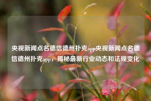 央视新闻点名德信德州扑克app央视新闻点名德信德州扑克app，揭秘最新行业动态和法规变化