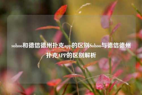 sohoo和德信德州扑克app的区别Sohoo与德信德州扑克APP的区别解析