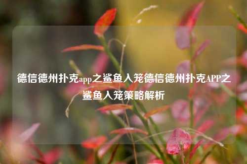 德信德州扑克app之鲨鱼入笼德信德州扑克APP之鲨鱼入笼策略解析