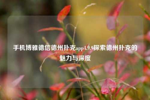 手机博雅德信德州扑克app4.9.9探索德州扑克的魅力与深度