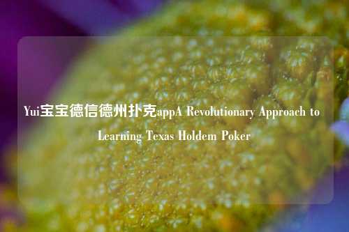 Yui宝宝德信德州扑克appA Revolutionary Approach to Learning Texas Holdem Poker