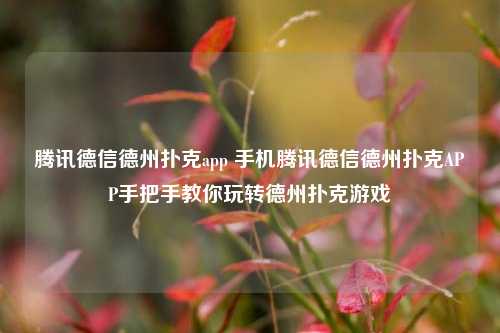 腾讯德信德州扑克app 手机腾讯德信德州扑克APP手把手教你玩转德州扑克游戏