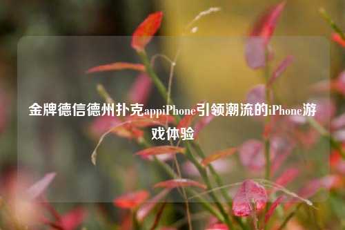 金牌德信德州扑克appiPhone引领潮流的iPhone游戏体验