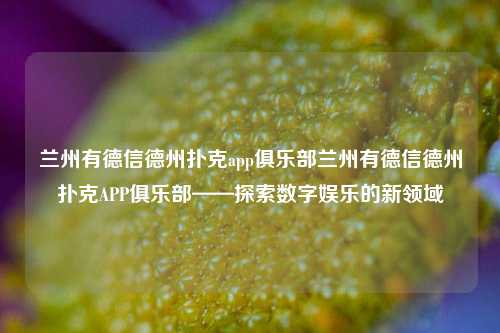兰州有德信德州扑克app俱乐部兰州有德信德州扑克APP俱乐部——探索数字娱乐的新领域