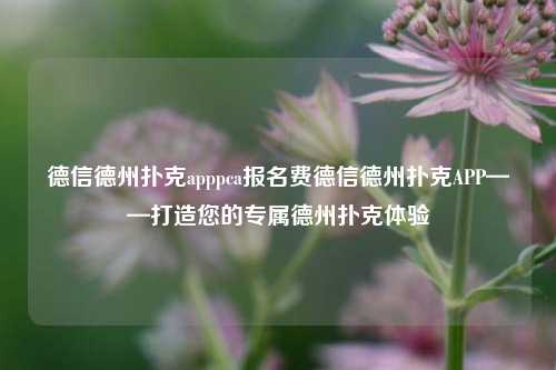 德信德州扑克apppca报名费德信德州扑克APP——打造您的专属德州扑克体验