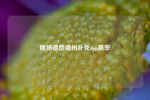 赌场德信德州扑克app赢率