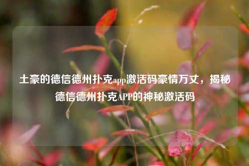 土豪的德信德州扑克app激活码豪情万丈，揭秘德信德州扑克APP的神秘激活码