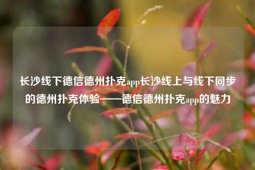 长沙线下德信德州扑克app长沙线上与线下同步的德州扑克体验——德信德州扑克app的魅力