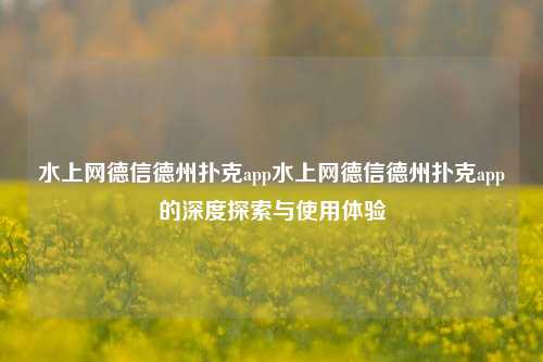 水上网德信德州扑克app水上网德信德州扑克app的深度探索与使用体验