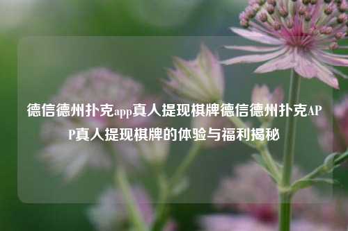 德信德州扑克app真人提现棋牌德信德州扑克APP真人提现棋牌的体验与福利揭秘
