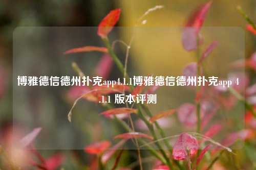 博雅德信德州扑克app4.1.1博雅德信德州扑克app 4.1.1 版本评测