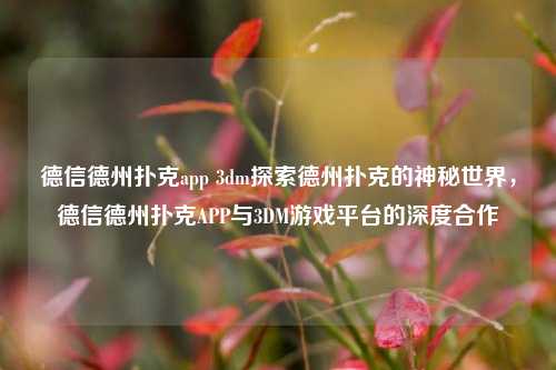 德信德州扑克app 3dm探索德州扑克的神秘世界，德信德州扑克APP与3DM游戏平台的深度合作