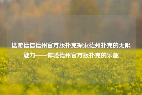 途游德信德州官方版扑克探索德州扑克的无限魅力——体验德州官方版扑克的乐趣