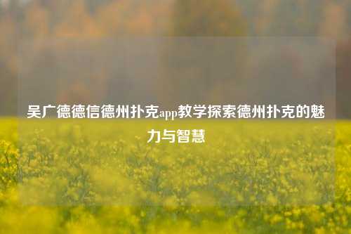 吴广德德信德州扑克app教学探索德州扑克的魅力与智慧