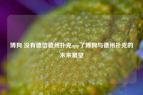 博狗 没有德信德州扑克app了博狗与德州扑克的未来展望