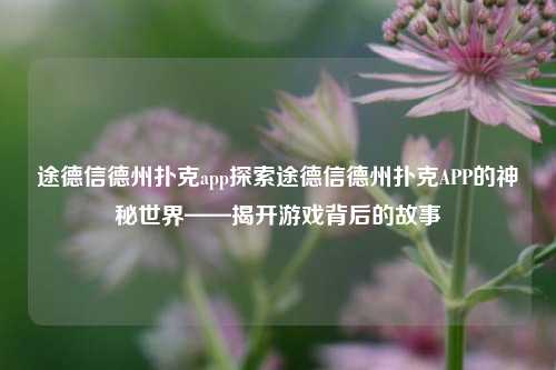 途德信德州扑克app探索途德信德州扑克APP的神秘世界——揭开游戏背后的故事