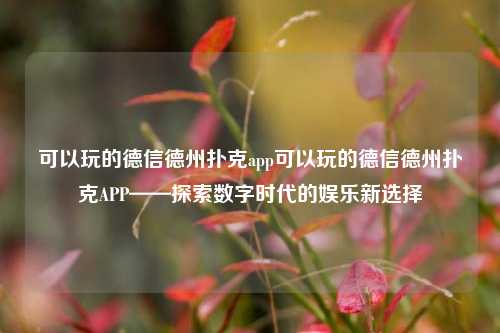 可以玩的德信德州扑克app可以玩的德信德州扑克APP——探索数字时代的娱乐新选择