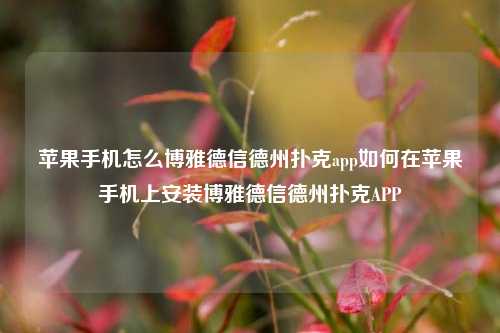 苹果手机怎么博雅德信德州扑克app如何在苹果手机上安装博雅德信德州扑克APP