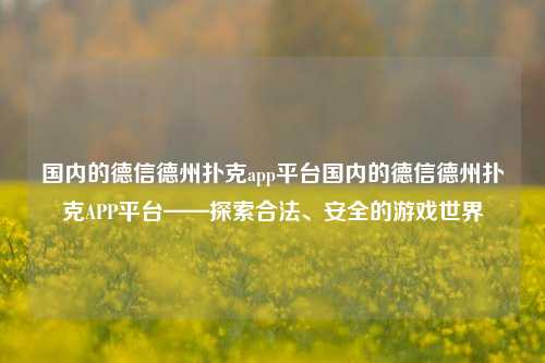 国内的德信德州扑克app平台国内的德信德州扑克APP平台——探索合法、安全的游戏世界